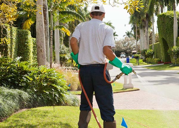 About Lavonia GA Pest Control Pros